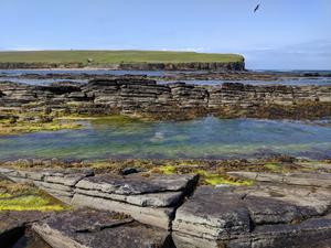 Brough of Birsay (photo by SZap)