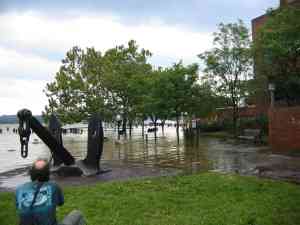 Waterfront Park in flood tide.