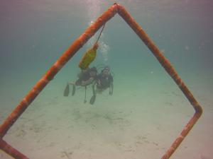 August 26, 2018 (Buddy's Reef)