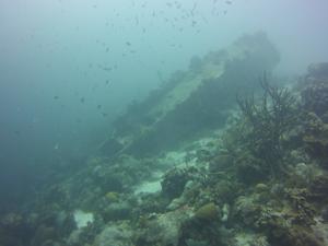 August 27, 2018 (Buddy's Reef)